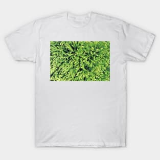 Spruce Tree Needles T-Shirt